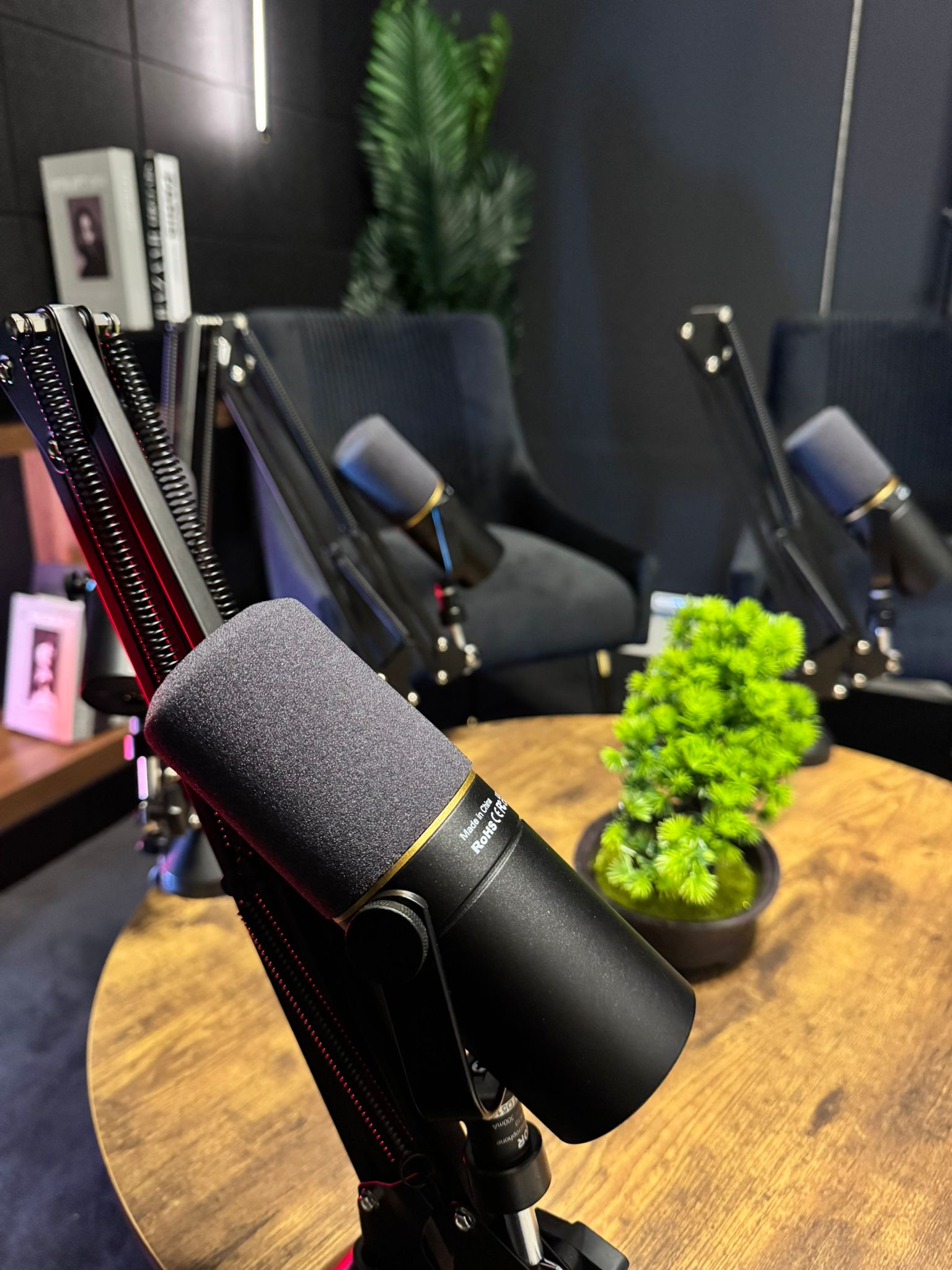 Close-up of a pro broadcast podcast microphone at Studio 309